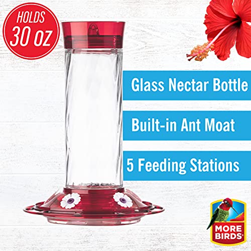 More Birds Bird Health + Diamond Hummingbird Feeder - Image 6