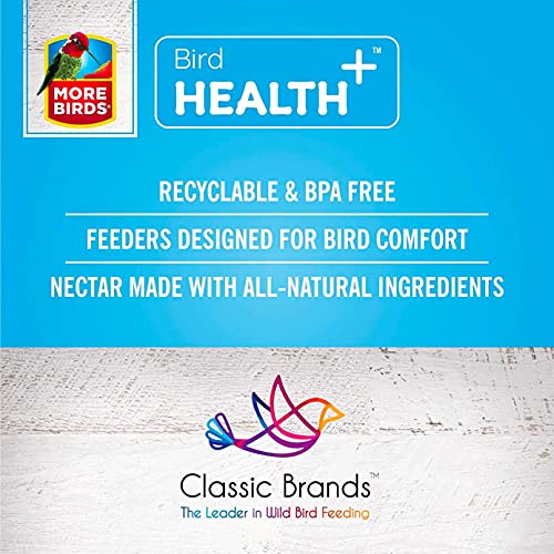 More Birds Bird Health + Diamond Hummingbird Feeder - Image 2